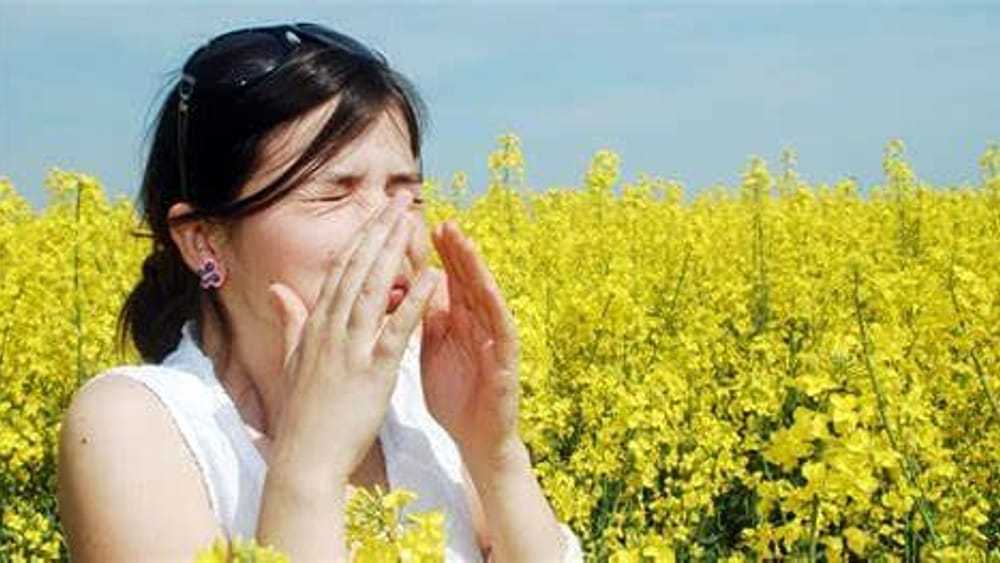 allergia primaverile